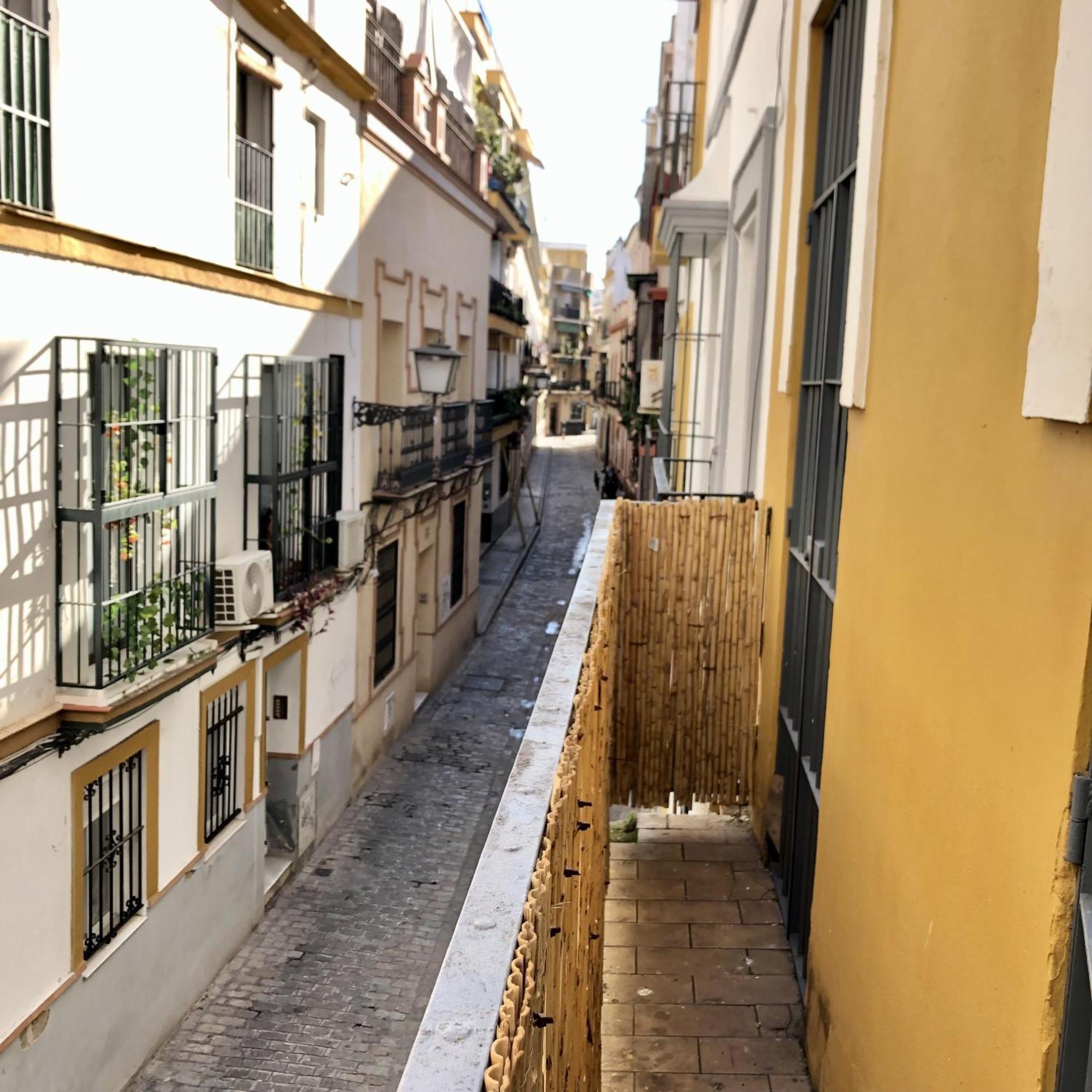 Alfaqueque B Apartment *