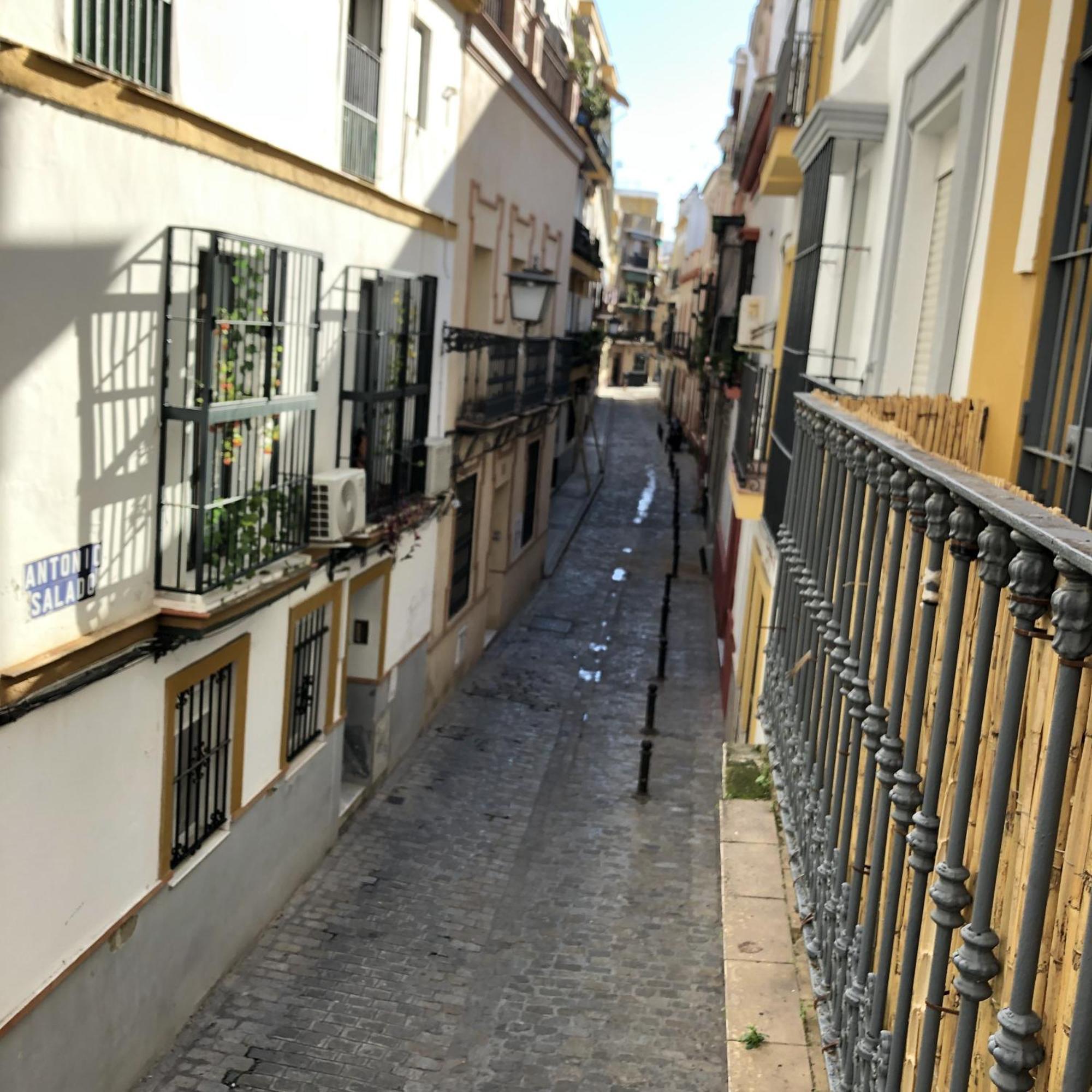 Apartment Alfaqueque B